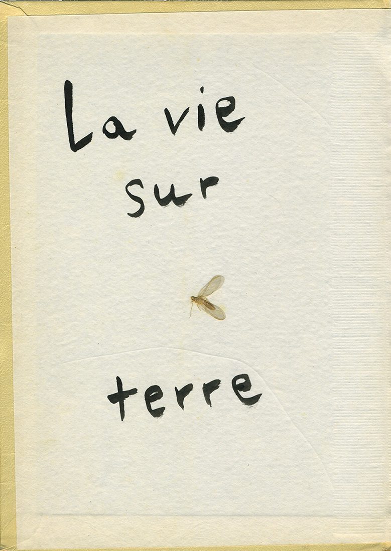 jeremiegrandsenne_218laviesurterreOK