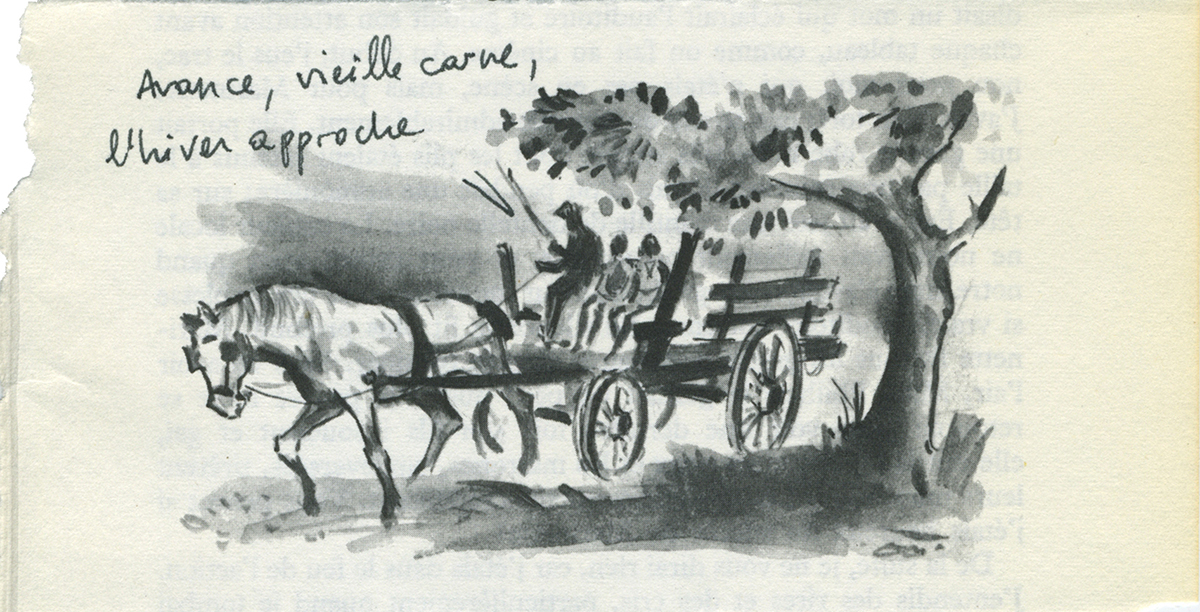 jeremiegrandsenne_238avancevieillecarne