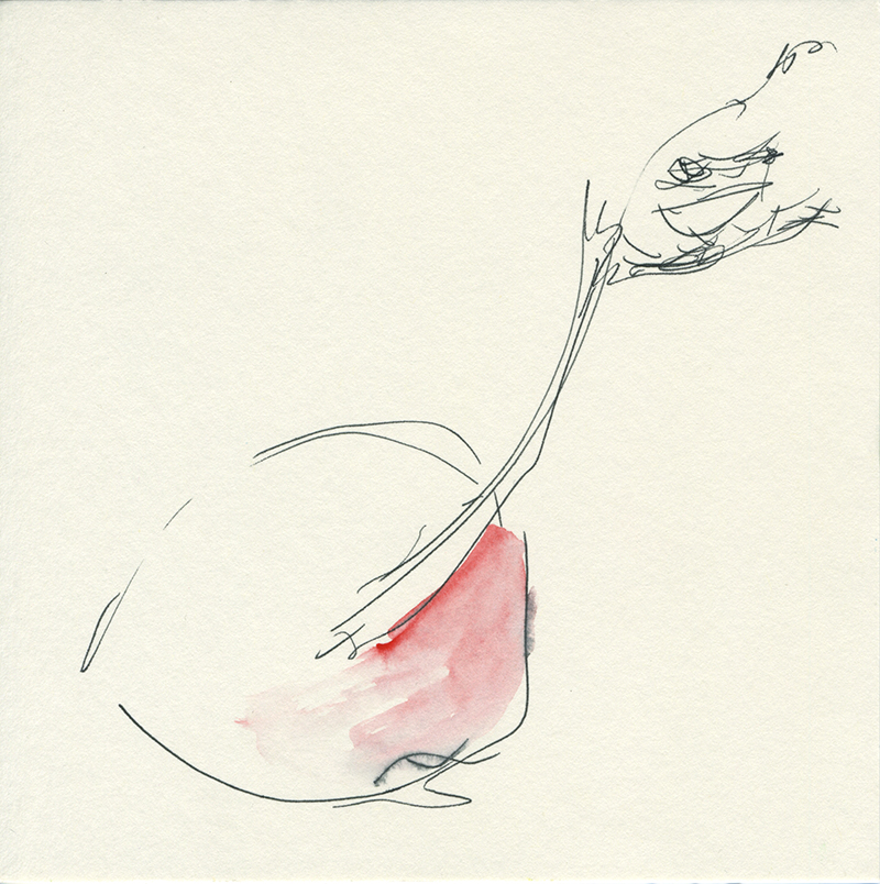 jeremiegrandsenne_aquarelle2014_boulerougebonhomme