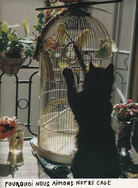 jeremiegrandsennecage