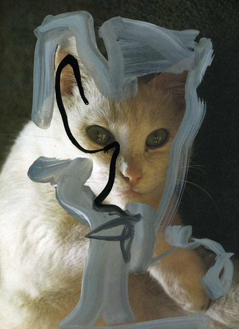 jeremiegrandsennechachat