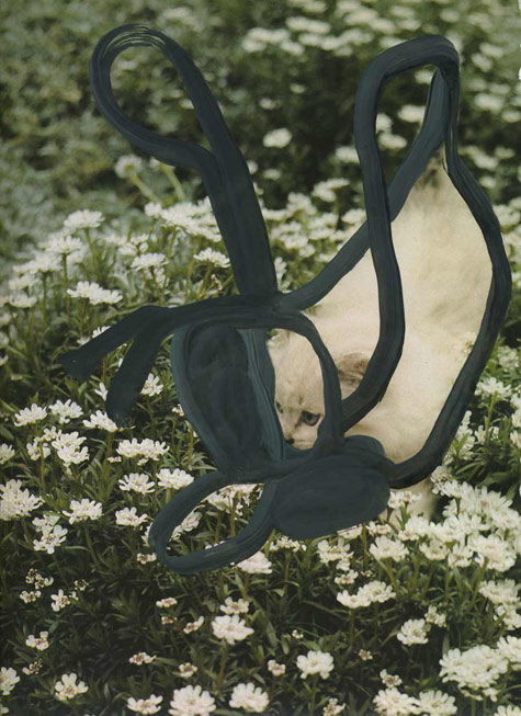 jeremiegrandsennechachatgri