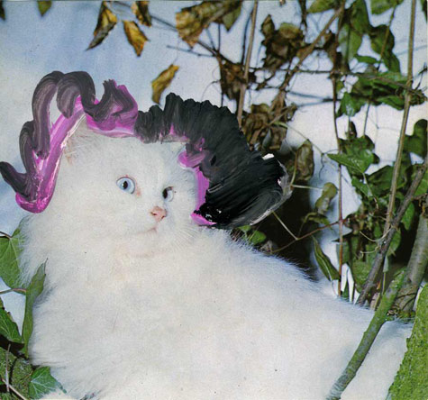 jeremiegrandsennechachatres