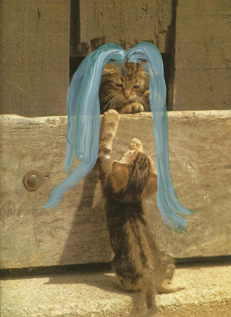 jeremiegrandsennechachatsbl