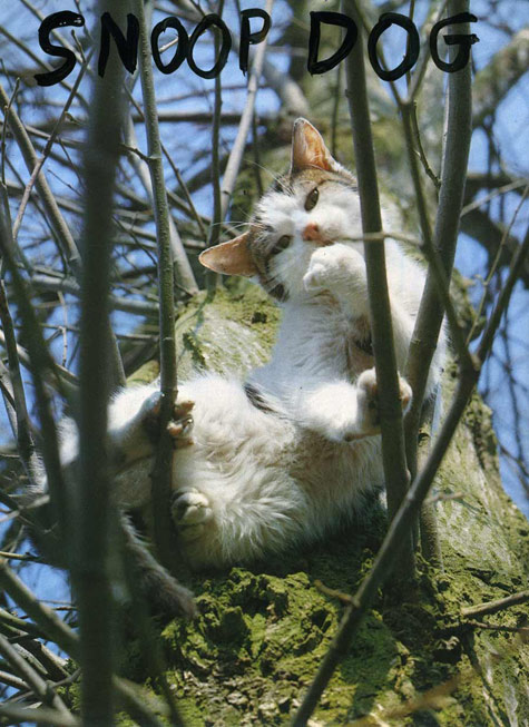 jeremiegrandsennesnoopdog