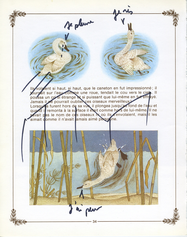 jeremiegrandsennevilainpetitcanard 19.jpeg