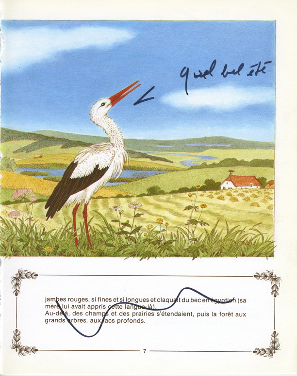 jeremiegrandsennevilainpetitcanard 4.jpeg