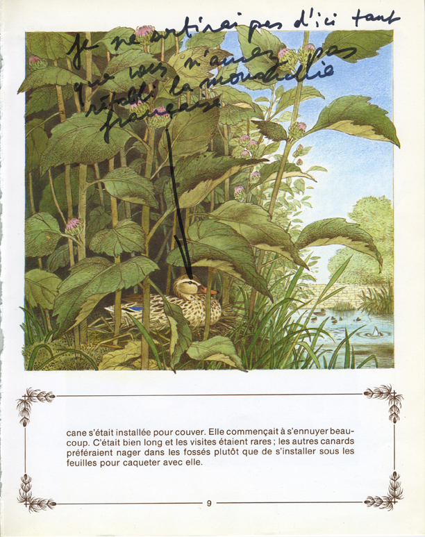 jeremiegrandsennevilainpetitcanard 5.jpeg