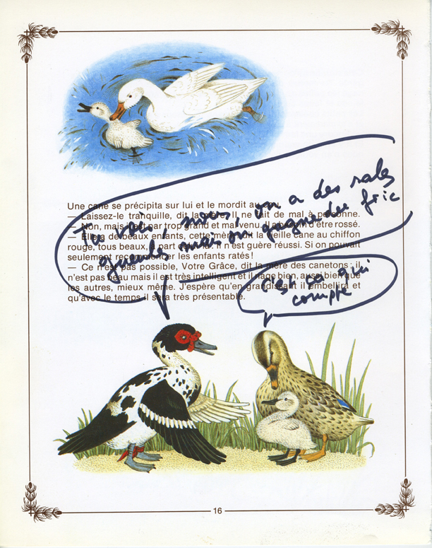 jeremiegrandsennevilainpetitcanard 9.jpeg