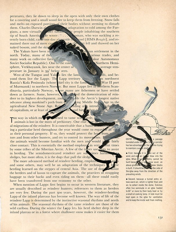 jeremiegrandsenne_menagainstmountains_animalscarabee