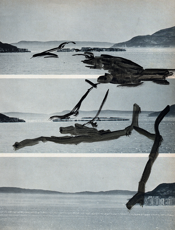 jeremiegrandsenne_menagainstmountains_birdon3landscapes