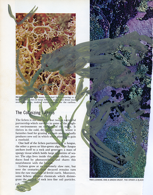 jeremiegrandsenne_menagainstmountains_cerfsurcorail2