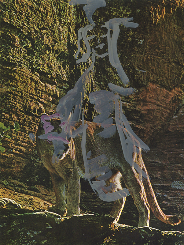 jeremiegrandsenne_menagainstmountains_pumapeinture