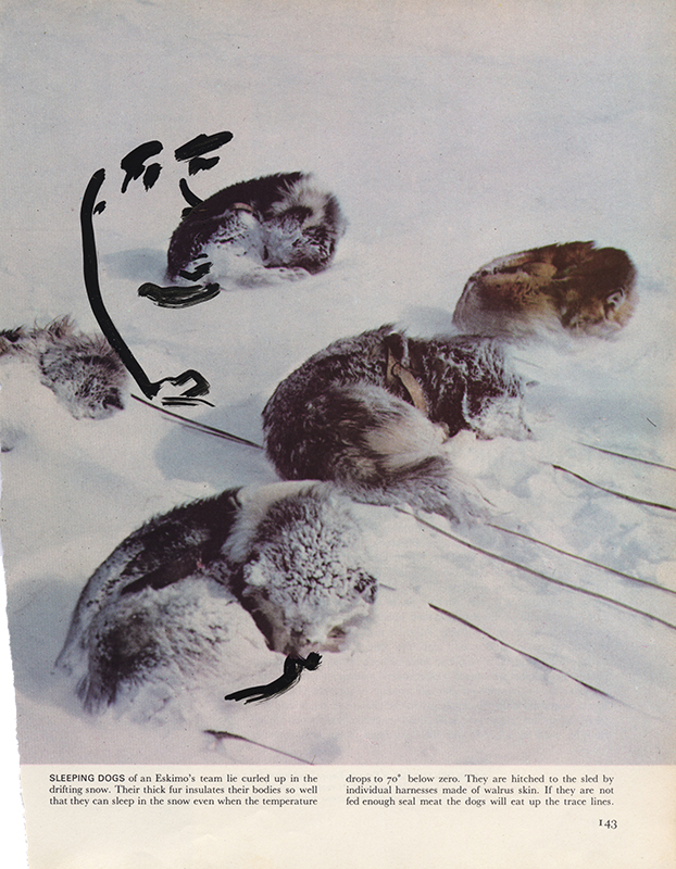 jeremiegrandsenne_menagainstmountains_sleepingdogs