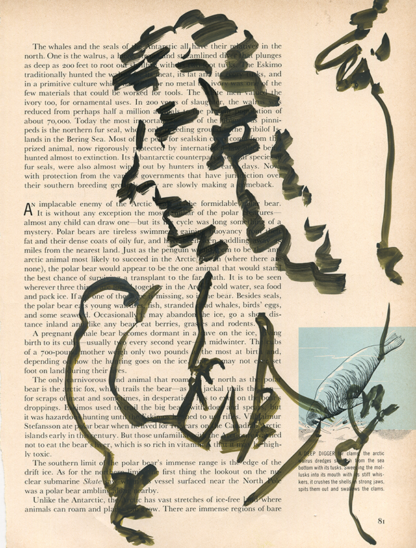 jeremiegrandsenne_menagainstmountains_tadamfight