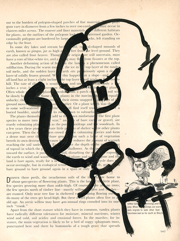 jeremiegrandsenne_menagainstmountains_tetebeteetchouette