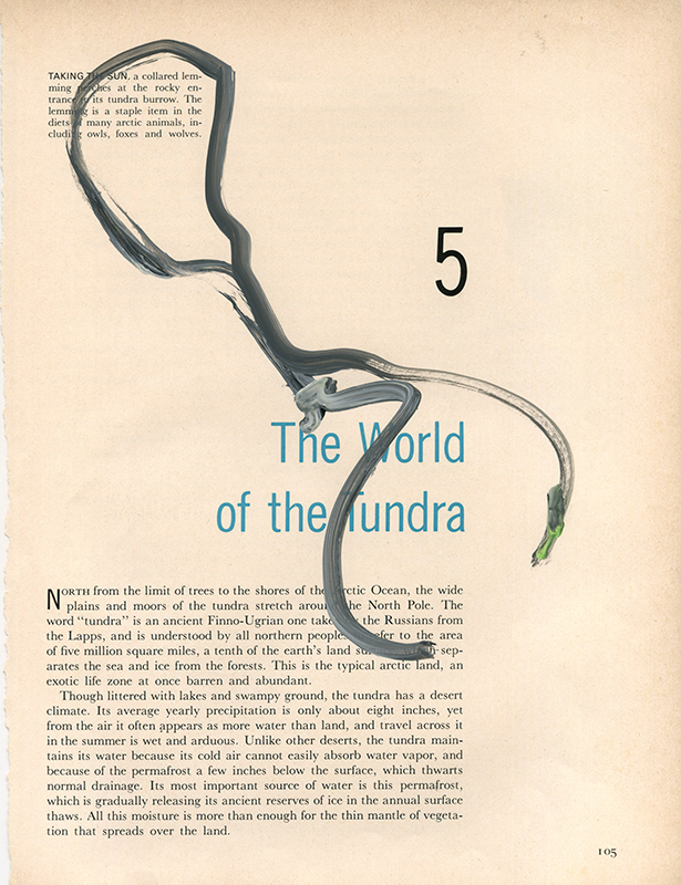 jeremiegrandsenne_menagainstmountains_theworldofthetundra