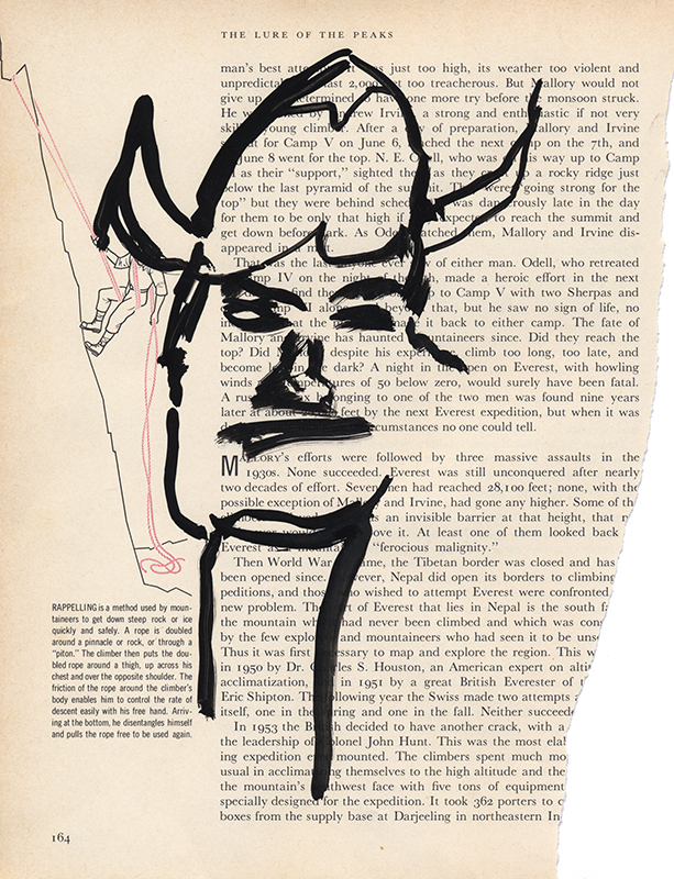 jeremiegrandsenne_menagainstmountains_viking