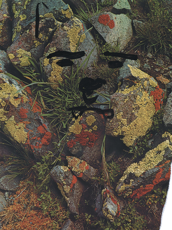 jeremiegrandsenne_menagainstmountains_visagedansleslichens