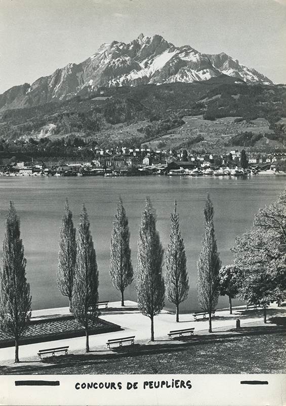 jeremiegrandsenne_peupliers