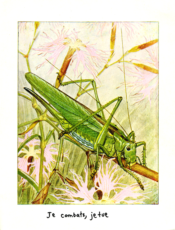 jeremiegrandsenne_sanstitre02