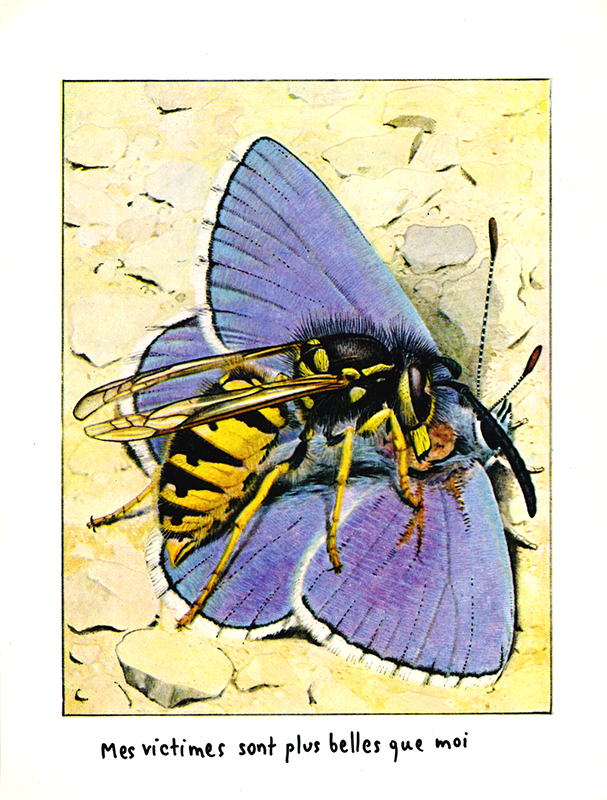 jeremiegrandsenne_sanstitre03