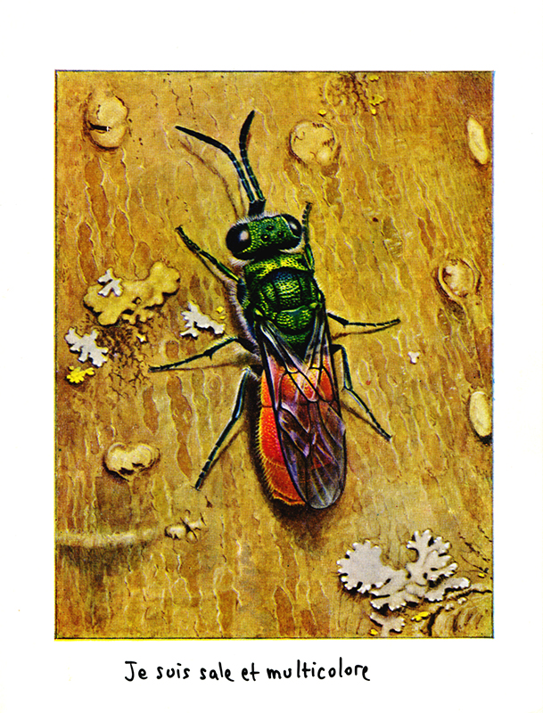 jeremiegrandsenne_sanstitre04