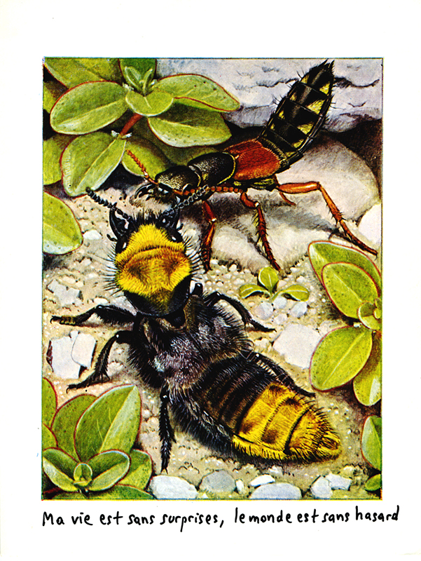 jeremiegrandsenne_sanstitre06