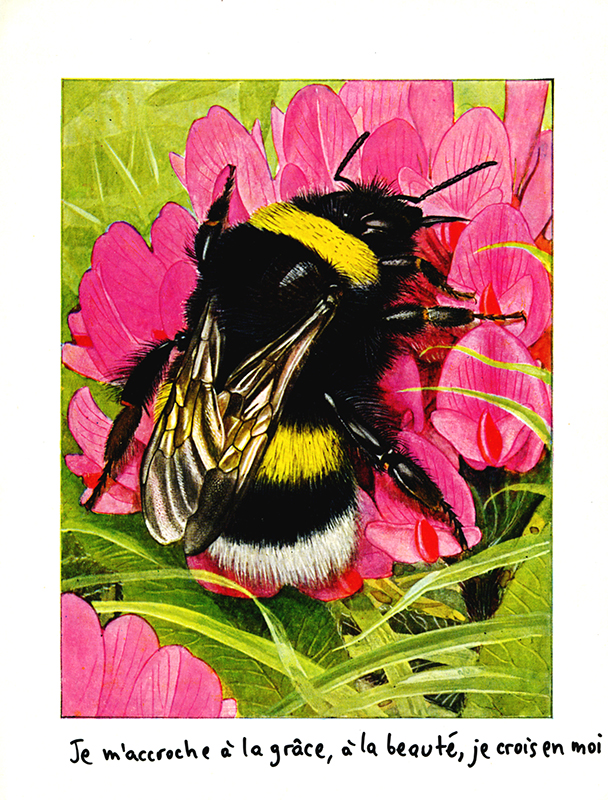 jeremiegrandsenne_sanstitre07