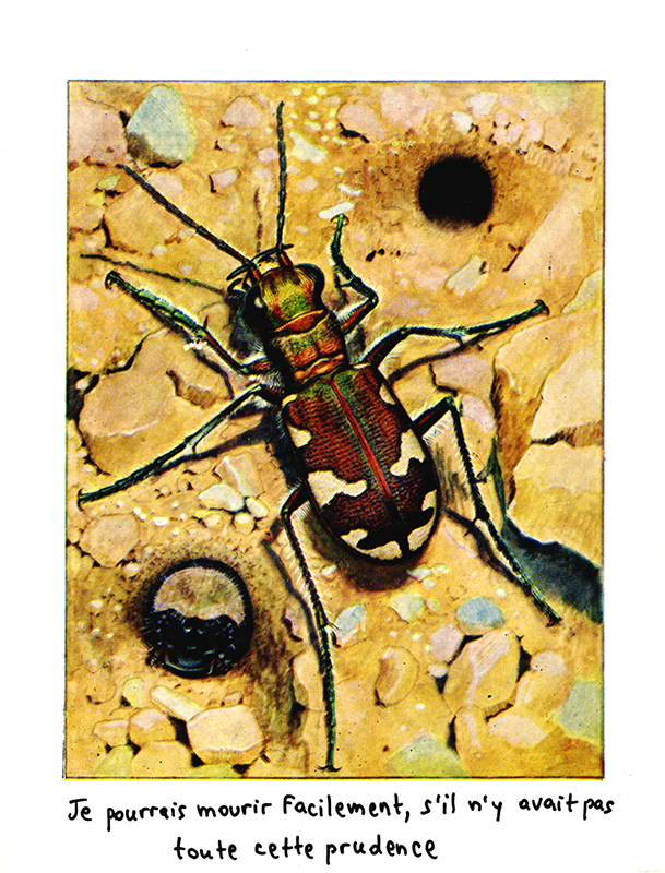 jeremiegrandsenne_sanstitre08