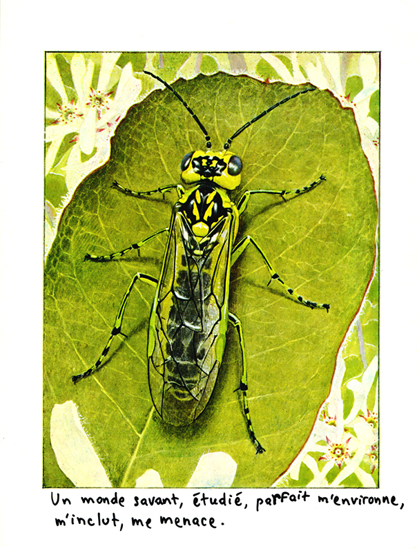 jeremiegrandsenne_sanstitre10