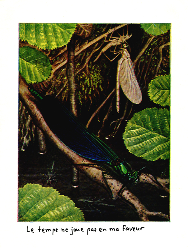 jeremiegrandsenne_sanstitre12