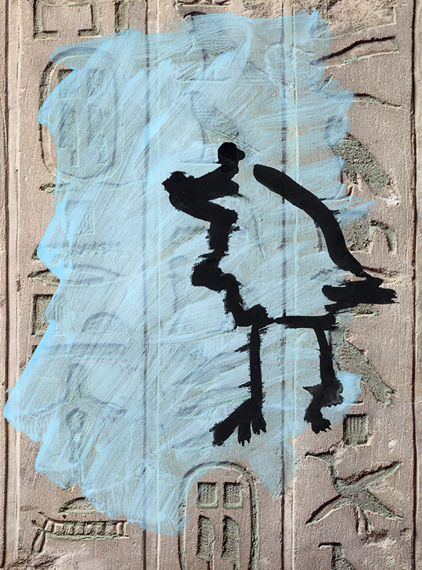 jeremiegrandsenne_oiseausurbleu