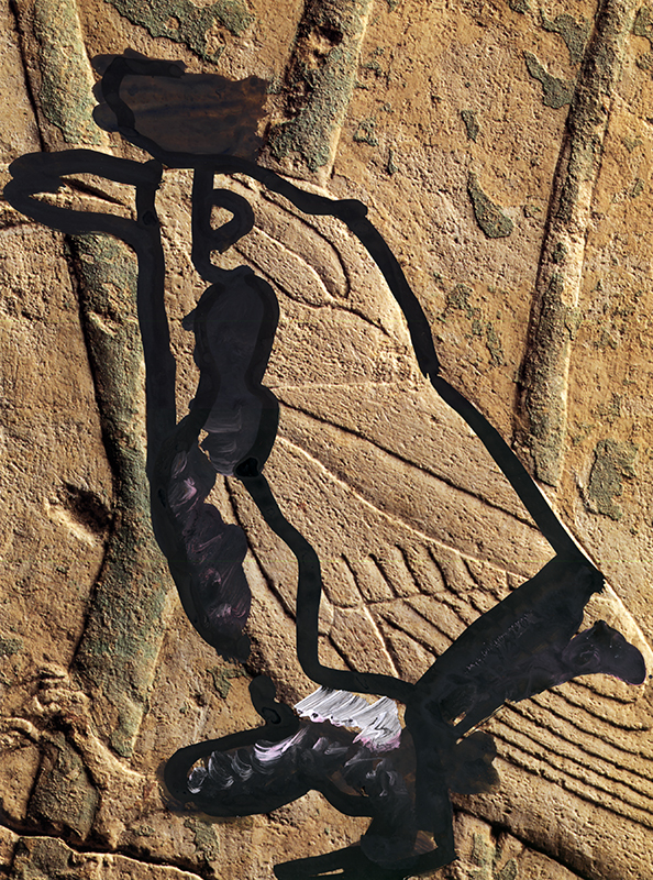 jeremiegrandsenne_oiseau