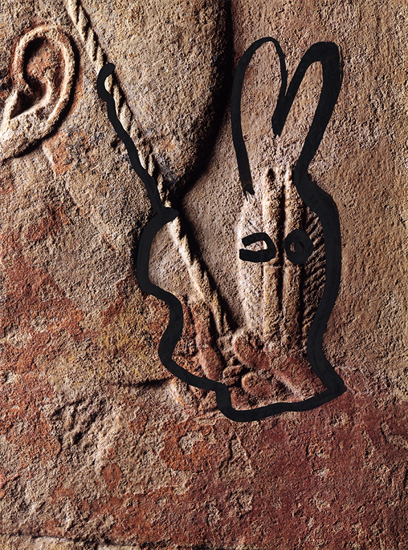 jeremiegrandsenne_lapin