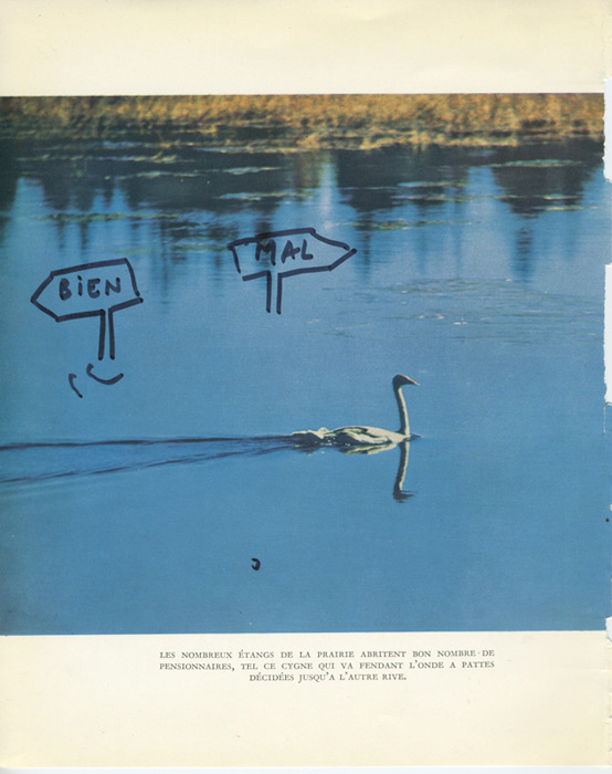 jeremiegrandsenne_bienmal_web