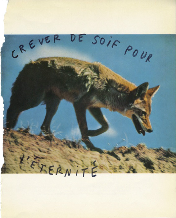 jeremiegrandsenne_creverdesoif_web