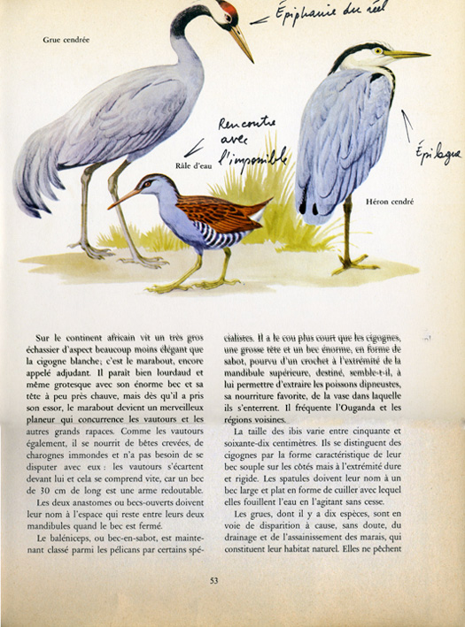 jeremiegrandsenne_epiphaniearefaire_72