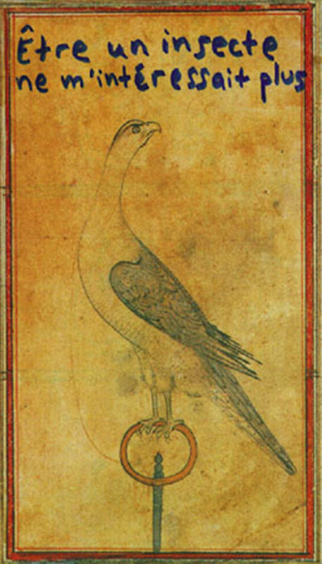 jeremiegrandsenne_etreuninsecte