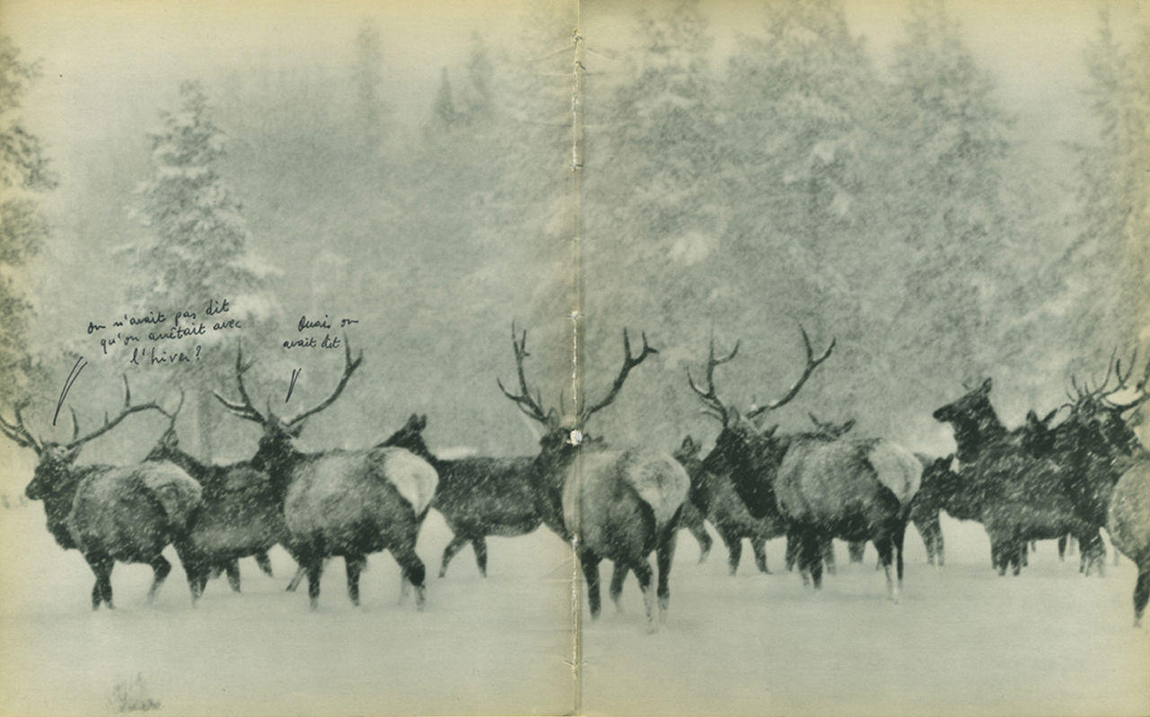 jeremiegrandsenne_hiver