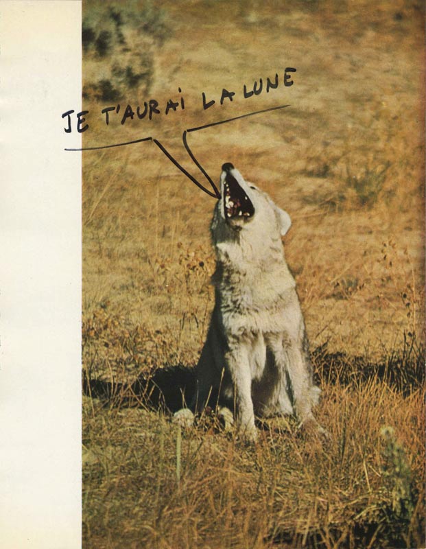 jeremiegrandsenne_jetaurailaluneweb