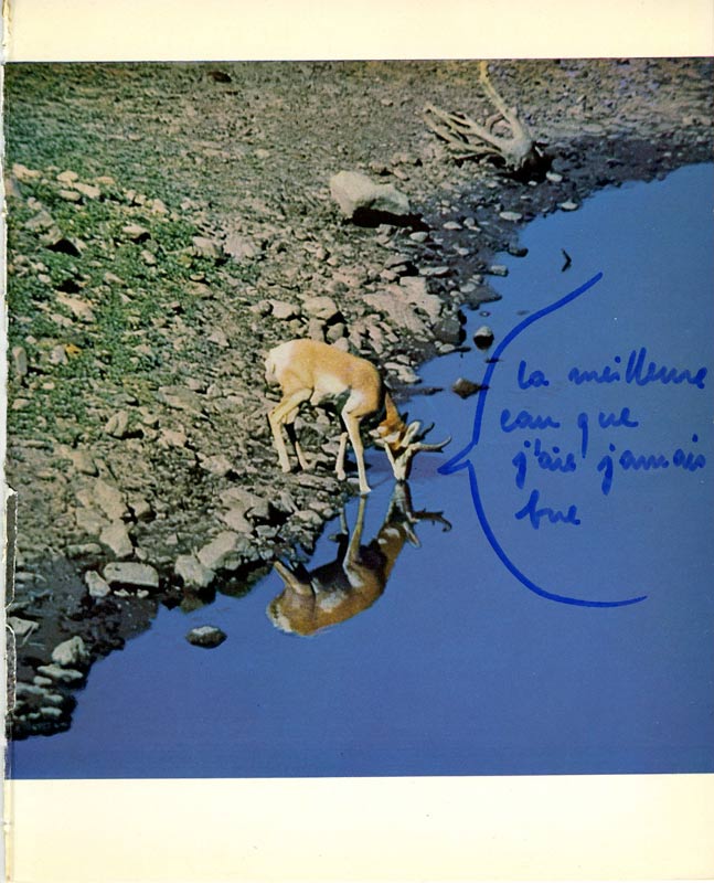 jeremiegrandsenne_lameilleureeau