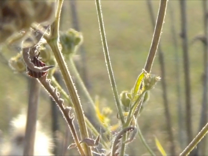 jeremiegrandsenne_laviematerielle_image3_web