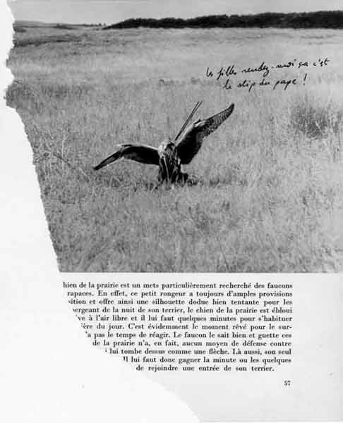 jeremiegrandsenne_leslipdupapeweb