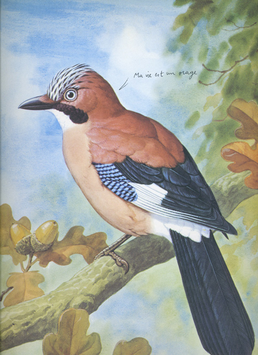 jeremiegrandsenne_mavieestunorage_72