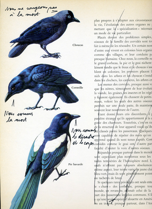 jeremiegrandsenne_nousnesongeonspaspartiel72