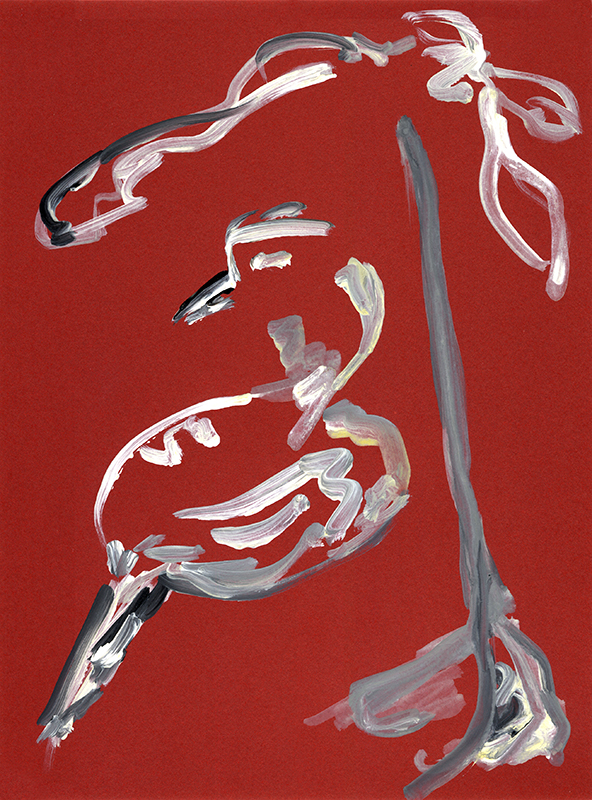 jeremiegrandsenne_oiseau