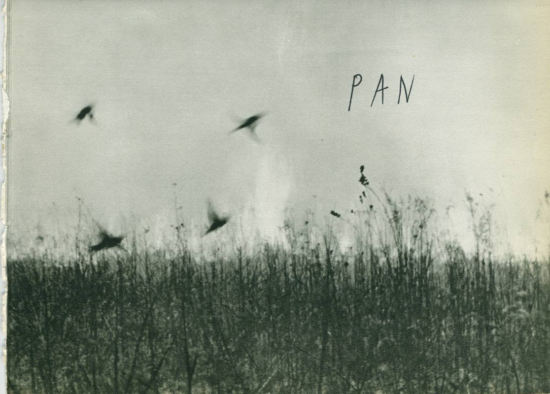 jeremiegrandsenne_pan