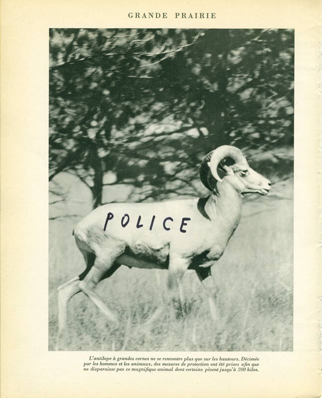 jeremiegrandsenne_police