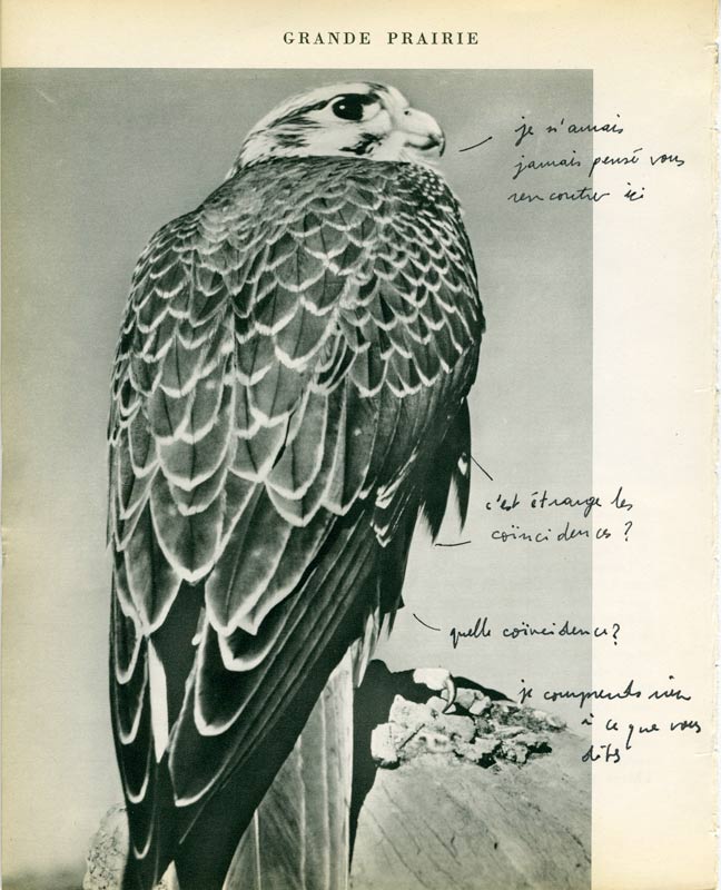 jeremiegrandsenne_quellecoincidence